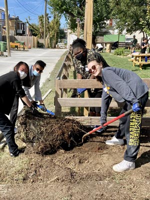 4 students gardening